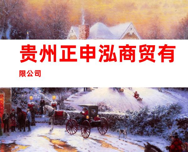 贵州正申泓商贸有限公司